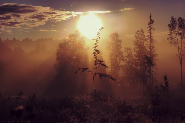 when_muses_say_goodbye