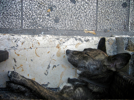 Just. Can't. Move. Another. Step.