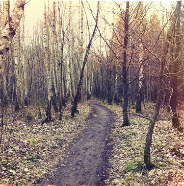 Follow your curiosity where it leads, to the edges of the reality you know, and beyond.