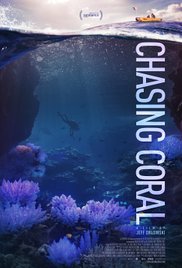 CHASING CORAL.jpg