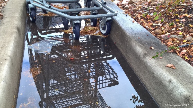 WP_20151105_09_30_12_Pro (2).jpg