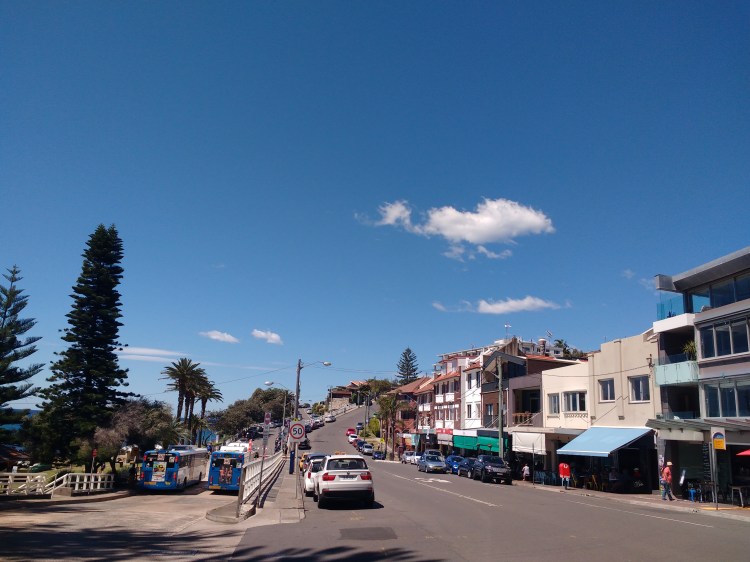 cafes, buses, palm trees, bright blue sky, cars on Bronte Road, Bronte