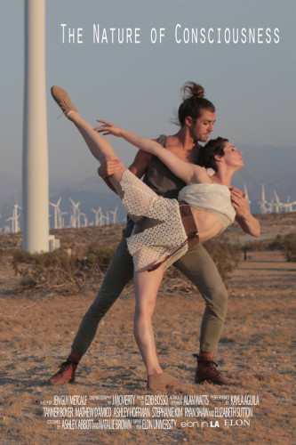 the_nature_of_consciousness_movie_poster