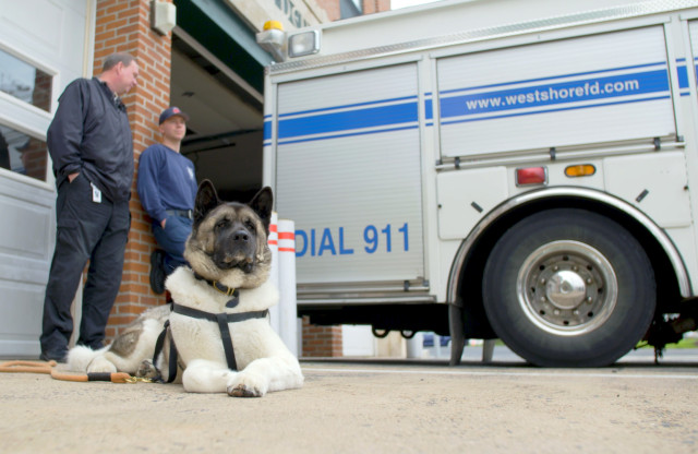 connection_in_crisis_1