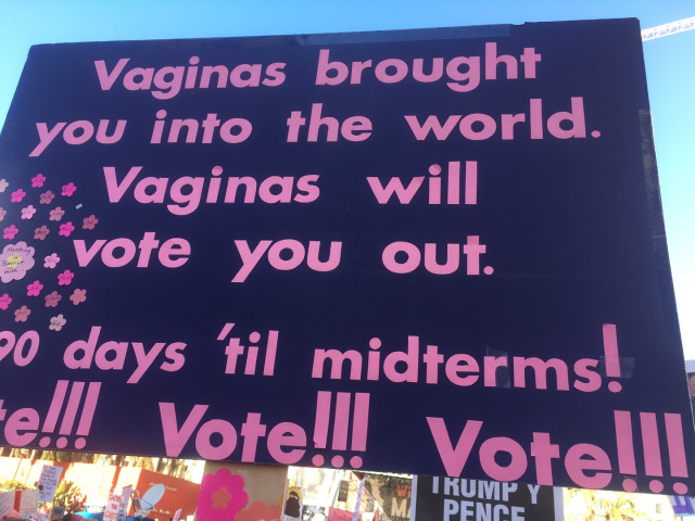 this_is_what_democracy_looks_like_2