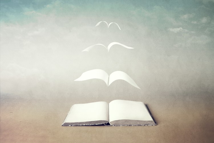 shutterstock_1083806558